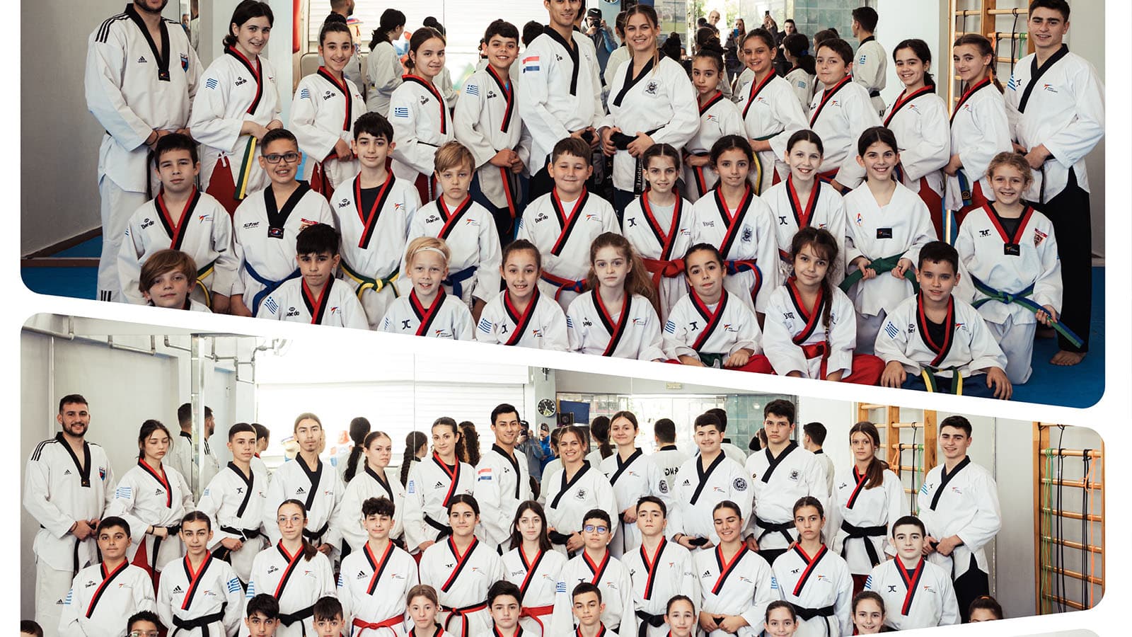 Επιμορφωτικό σεμινάριο Τεχνικού Taekwondo Poomsae 1 & 2 Φεβρουαρίου 2025