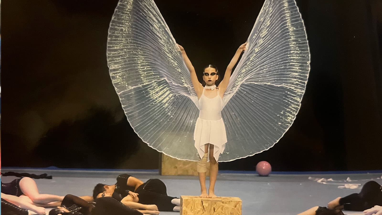 Hellas Gym For Life Challenge 2024 & Hellas Gym Fest 2024